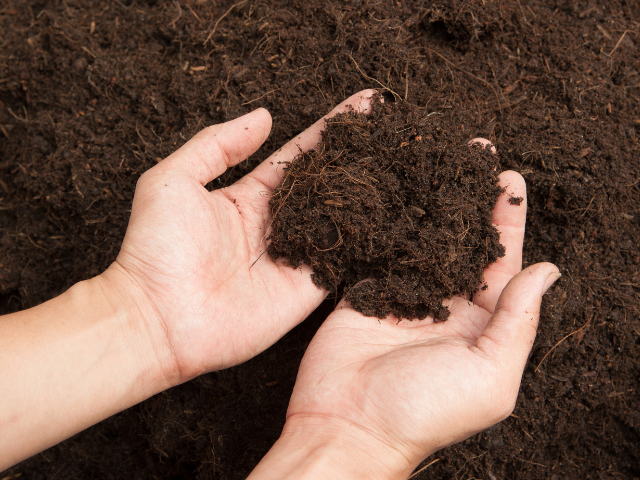 プランター使用後の土の扱い方と再活用法