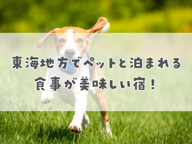 東海地方でペットと泊まれる食事が美味しい宿