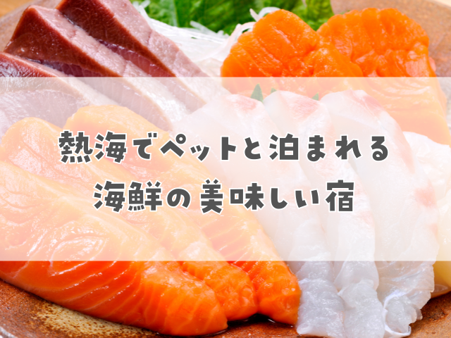 熱海でペットと泊まれる 海鮮の美味しい宿